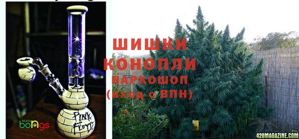 хмурый Ладушкин