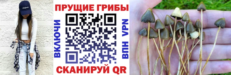 Галлюциногенные грибы Psilocybine cubensis  shop состав  Рыбинск 